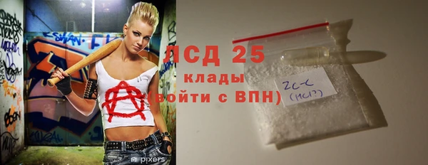 шишки Арсеньев