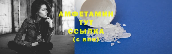 шишки Арсеньев