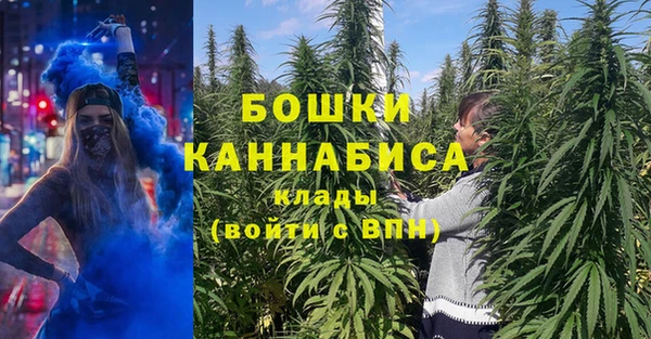 шишки Арсеньев