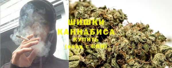 шишки Арсеньев
