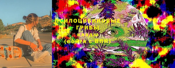 шишки Арсеньев