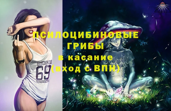 шишки Арсеньев