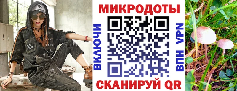 Галлюциногенные грибы мухоморы  где продают наркотики  Унеча 