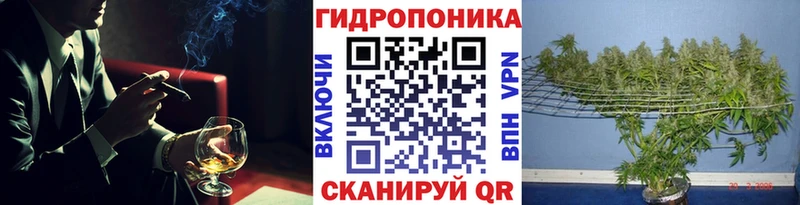 Шишки марихуана индика  МЕГА вход  Унеча 